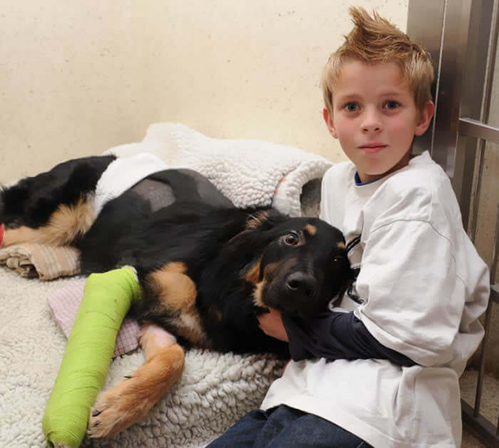 Geo The Puppy Saved His Owner From Being Hit By A Truck