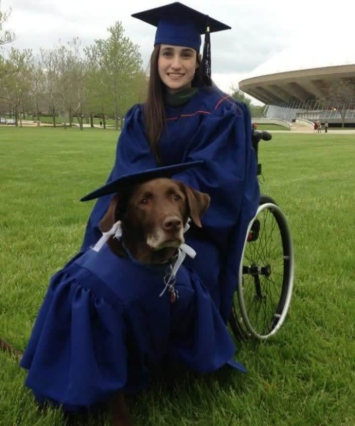 This Dog Earned A Master's Degree For Attending Every Class