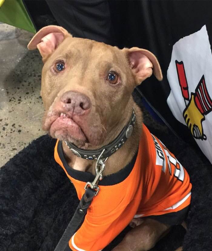 Aladdin Used The Love People Gave Him To Help Others