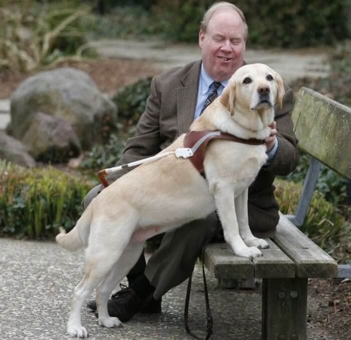 Roselle Saved Her Owner From The 9/11 Attacks