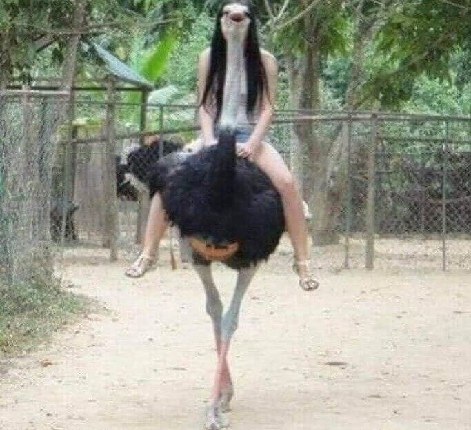 No Wonder They Call Her Ostrich Face