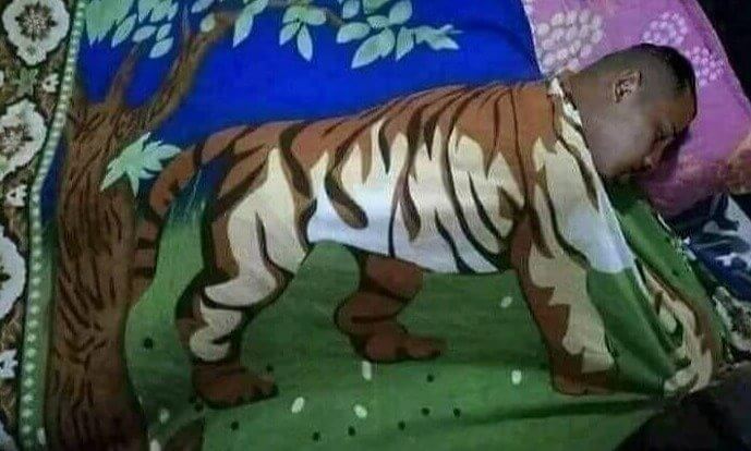 The Sleeping Miger (Man-Tiger)