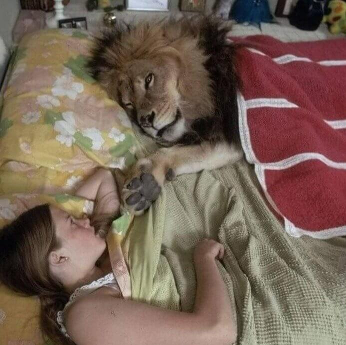 We Also Like It When Our Pets Sleep in Our Bed