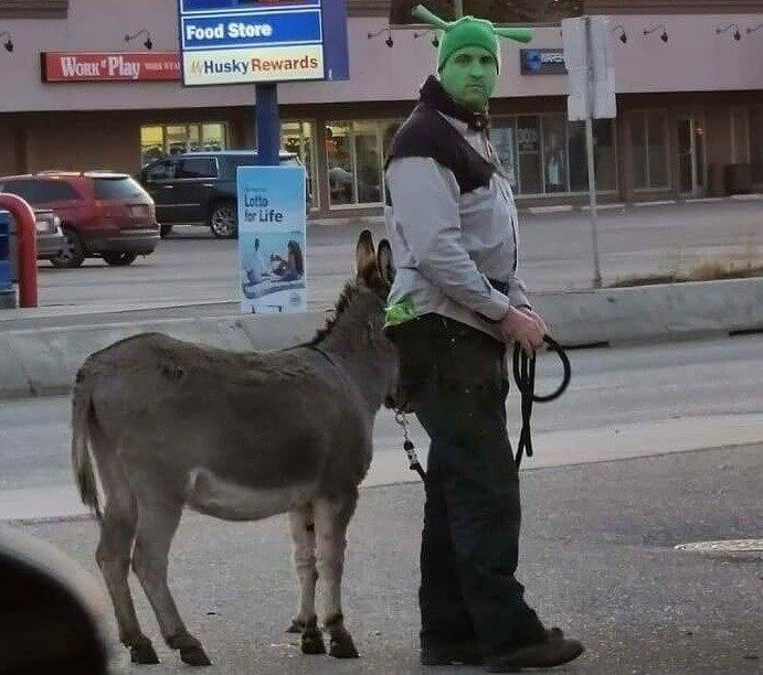 Shrek and Donkey Take a Walk