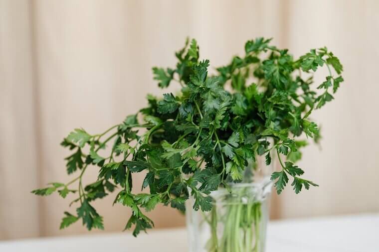 Herbs as Bouquets