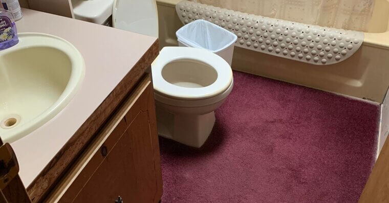Carpeted Bathrooms