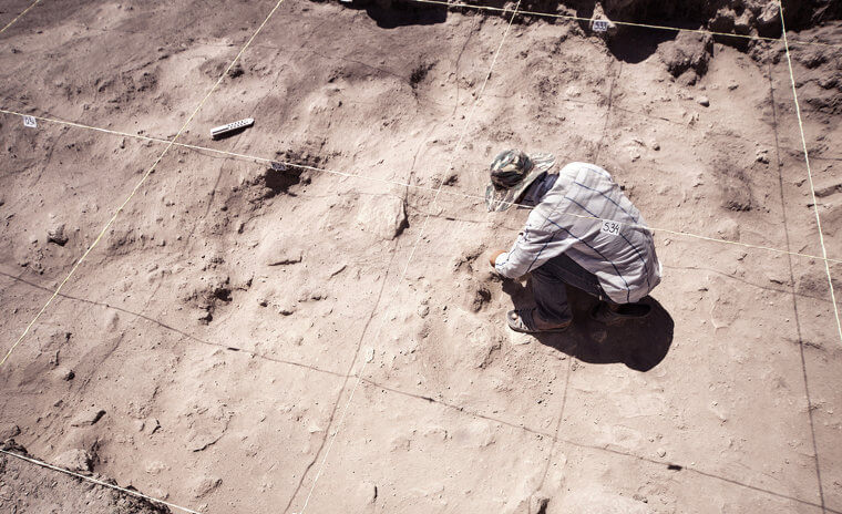 Planning More Expeditions