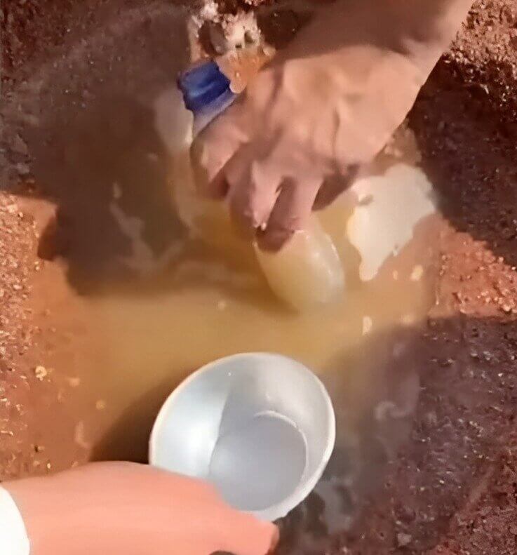 Natural Water Purifier