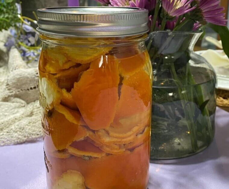 Vinegar As Disinfectant