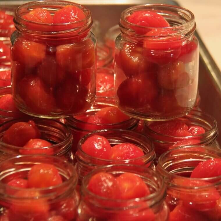 Food Preservation Methods