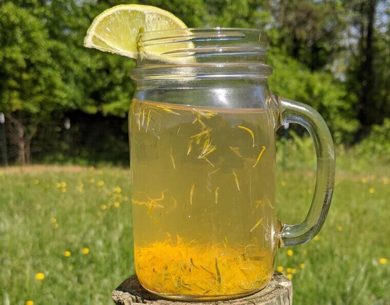 Dandelion Juice For Health