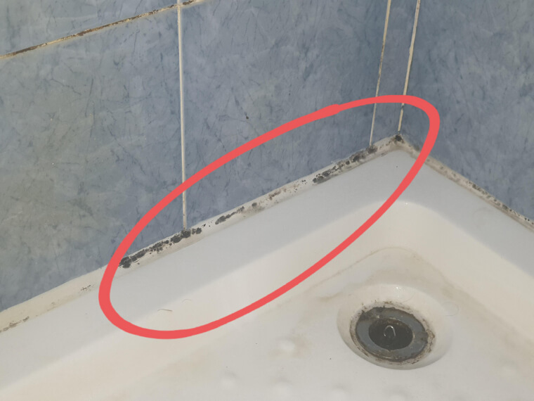 DIY Method To Remove Mildew