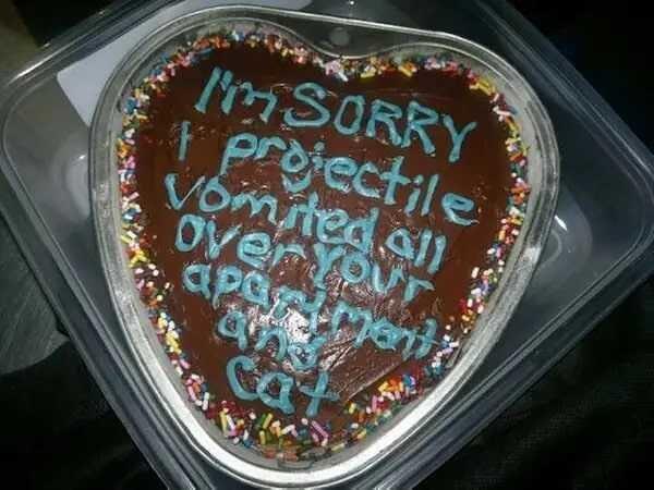 The Icing On The Cat