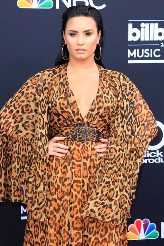 New Mexico: Demi Lovato