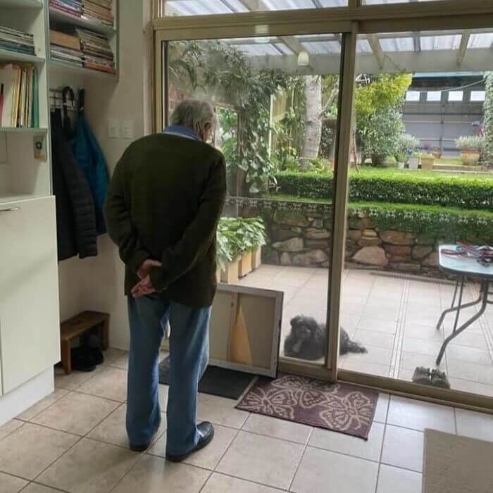 He Feels Bad For The Dogs Who Have To Stay Outside, So He Entertains Them