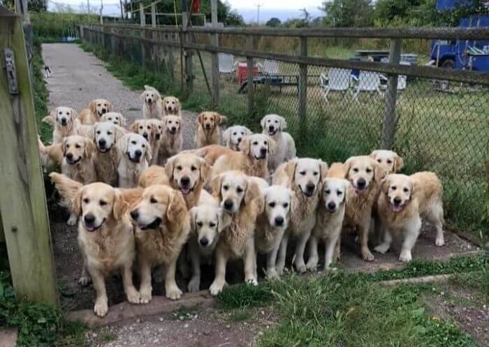 When Someone Asks You What Your Version Of Heaven Is...