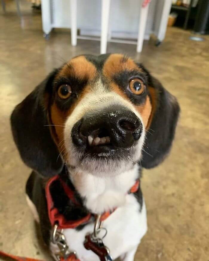 Connor Is Different But Precious