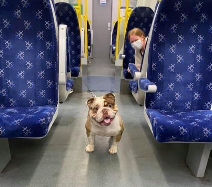 "Hello, May I See Your Ticket?"