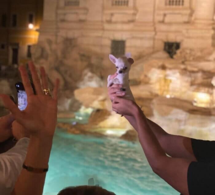 This Is What Dreams Are Made Of