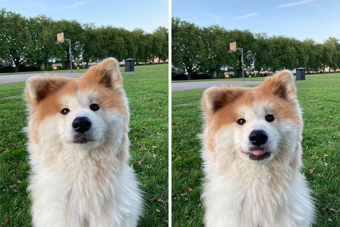 She Came To Say "Mlem"