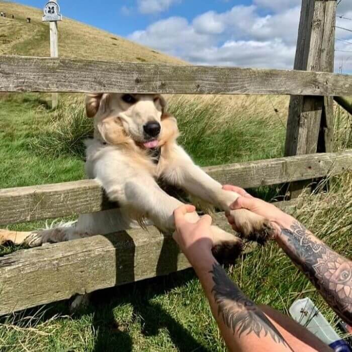 "Never Let Go, Jack. I'll Never Let Go."