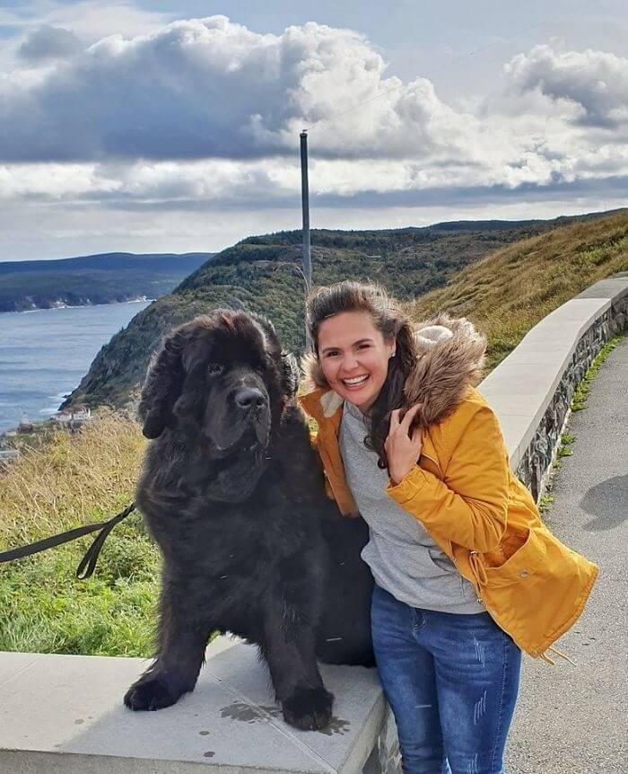 She Found A Newfoundland In Newfoundland