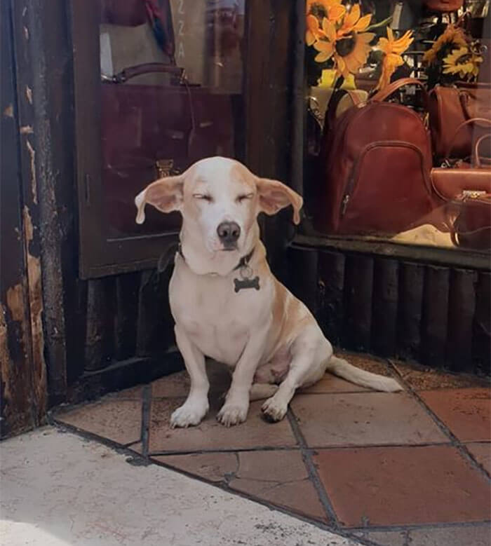 "I'm Just Resting My Eyes"