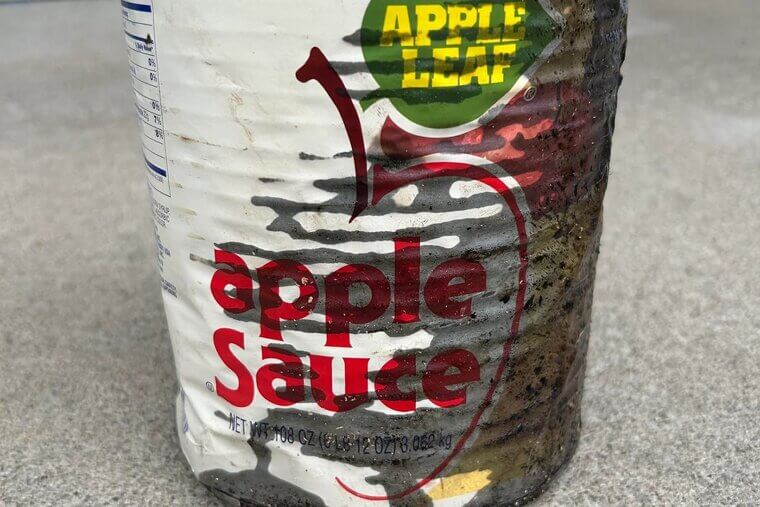 Expired Pantry Items