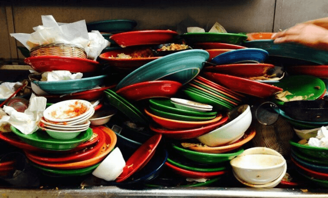 Kitchen Habits That Attract Bugs Faster