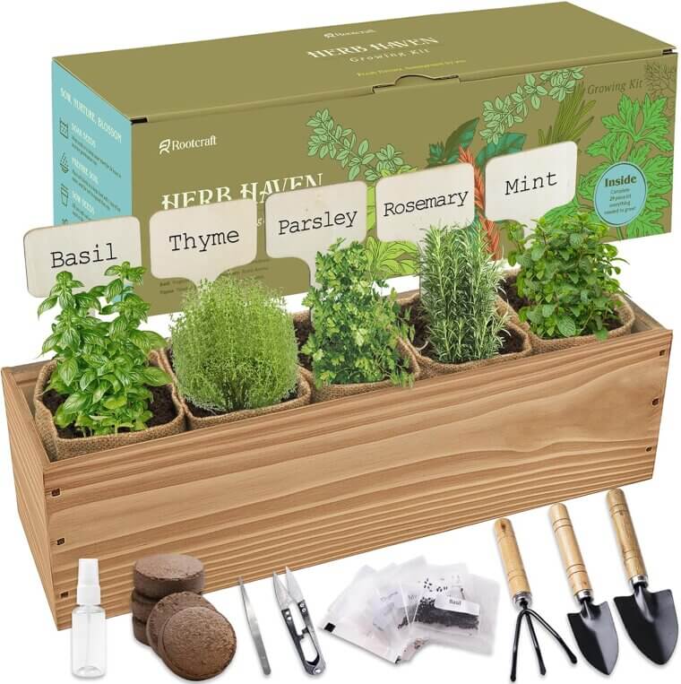 Herb Garden Planter - Perfect Indoor Gardening Kit 