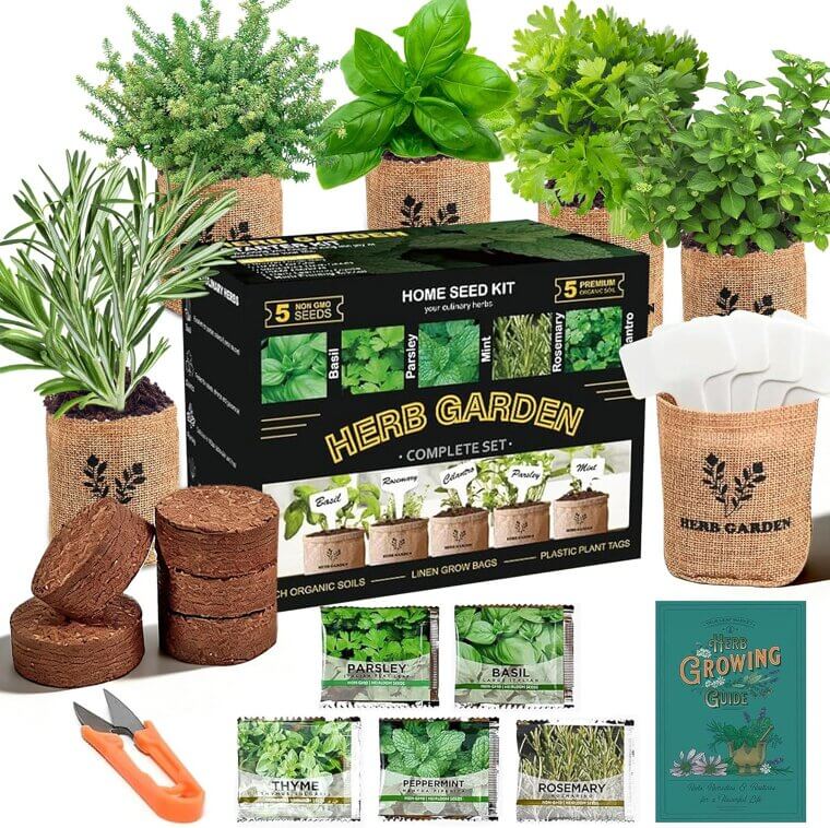 Meekear Herb Kit - Grow Fresh Kitchen Herbs! 