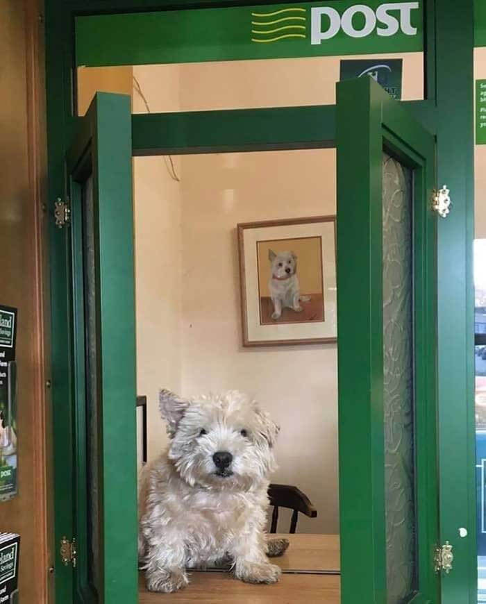 The Post Office Assistant With His Photo On The Wall