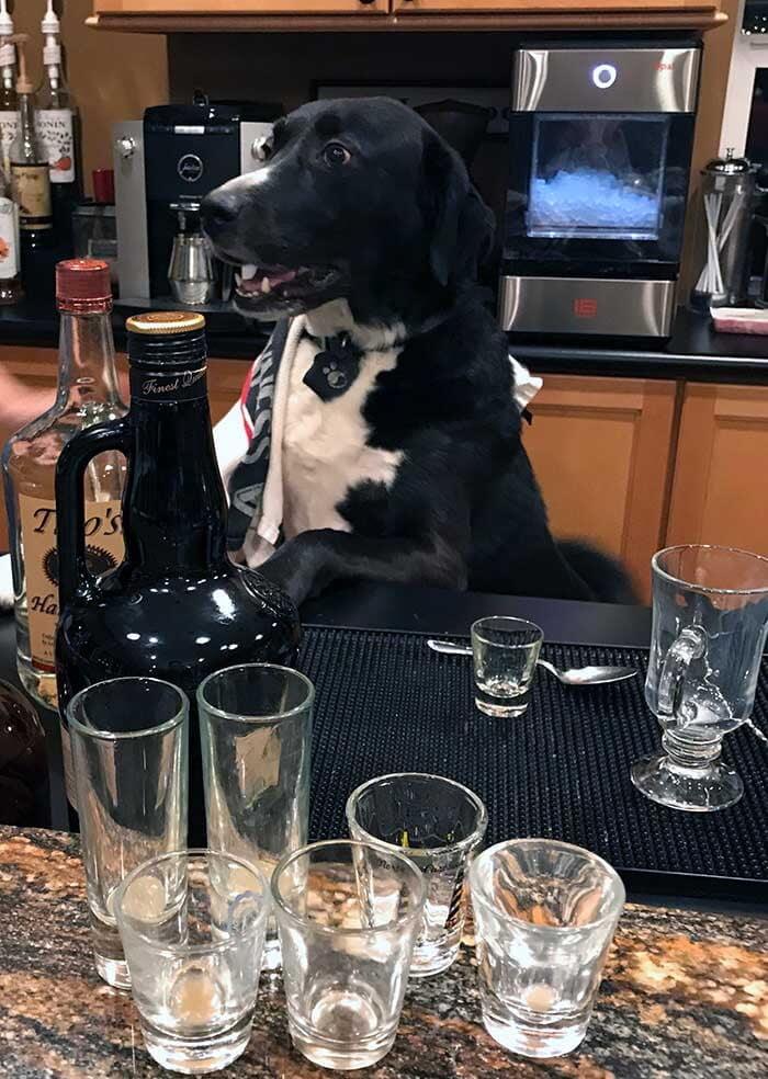 The Coolest Bartender Ever