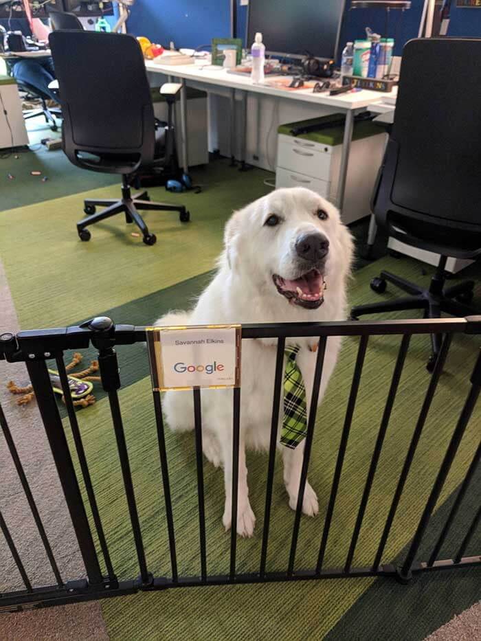 A Rockstar Office Manager