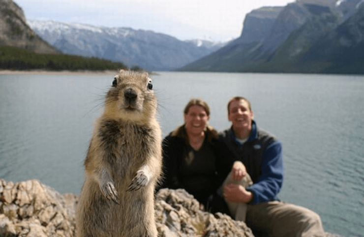 Aren't Photobombers Just The Worst?