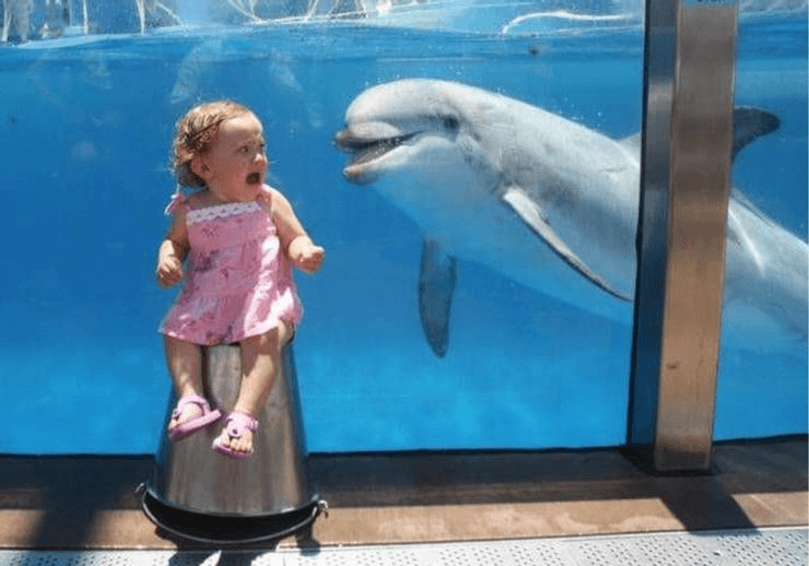 The Quintessential Aquarium Photograph