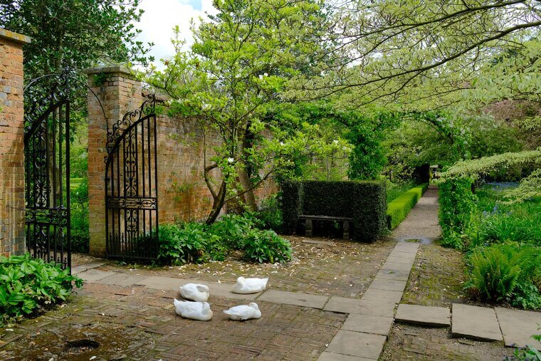 Improper Grading Causing Yard Drainage Issues