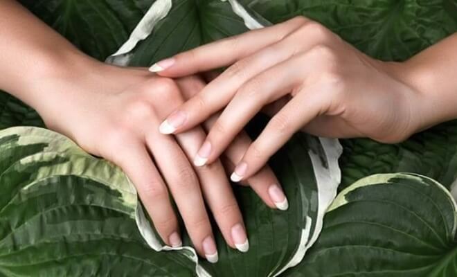 All That Nature Has To Offer: Remedies For Weak Nails