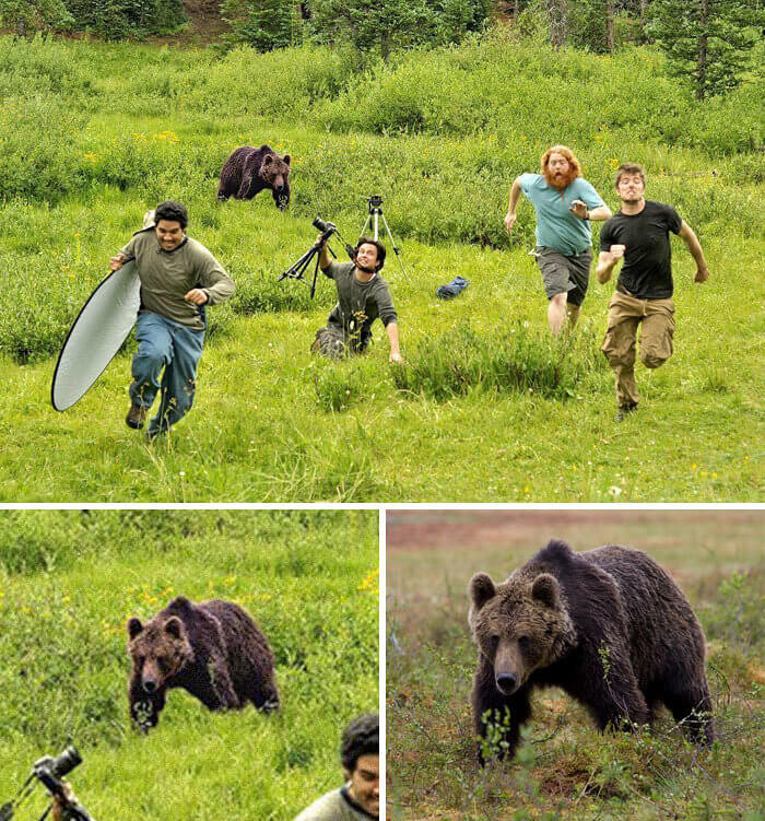 ​Another Bear Chasing People