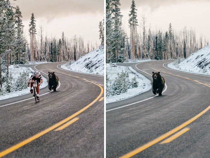 This Bear Was Thankfully Not Chasing This Cycler