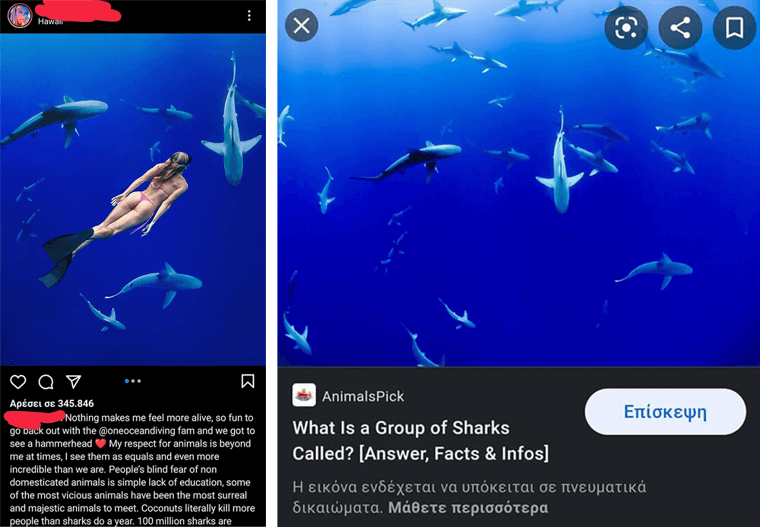 Swimming With The Sharks In The Big Blue Screen Saver