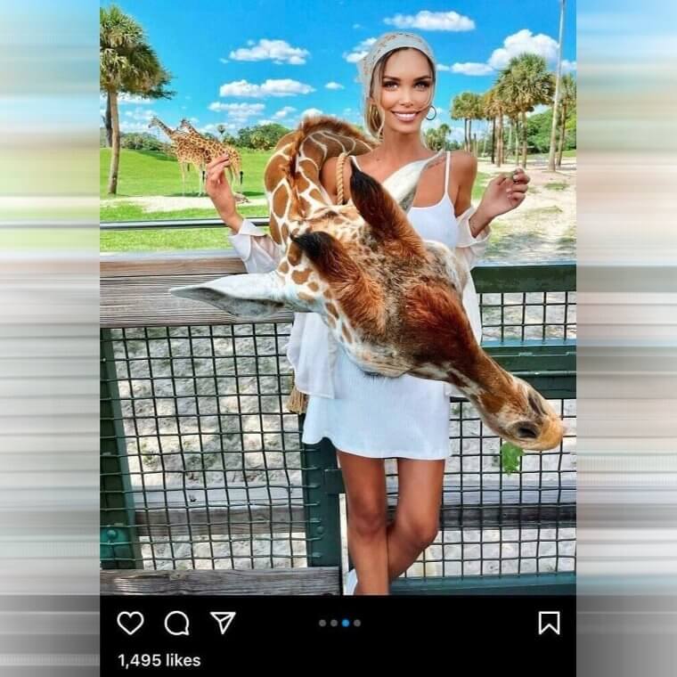 Excuse Me, But Is this Giraffe Real?