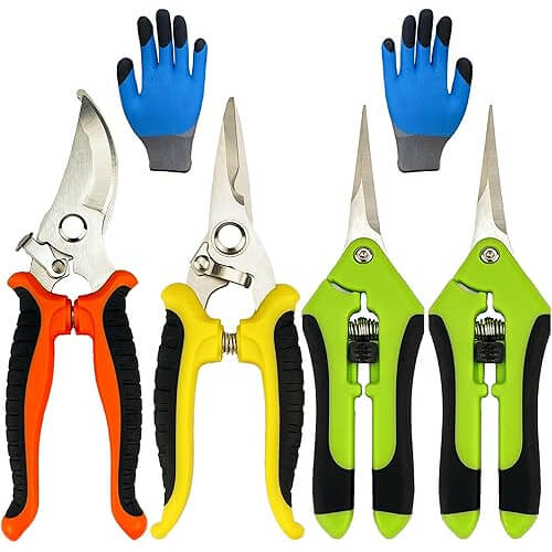 Complete Pruning Shears 5-Pack Set that Includes Gardening Gloves. Now 20% Off!