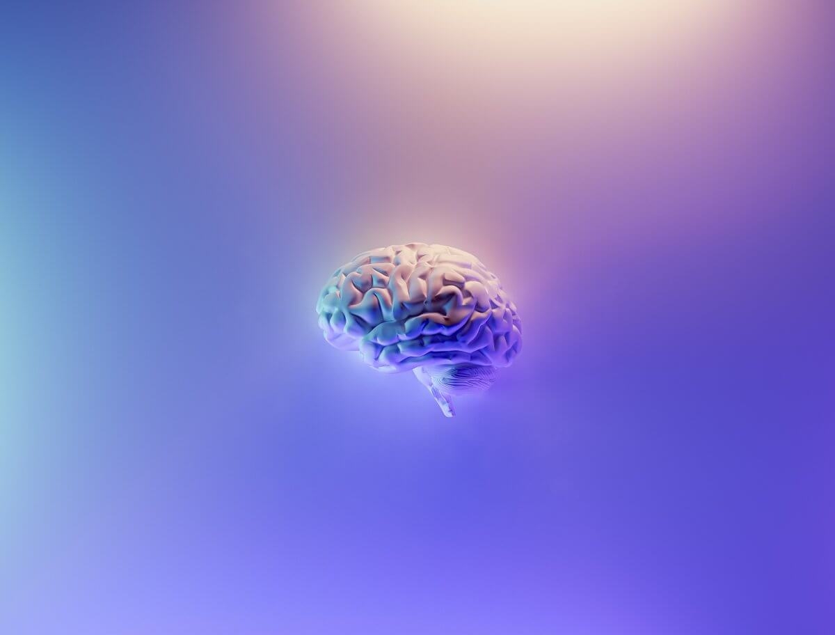 great-exercises-for-your-brain-thesocialtribune