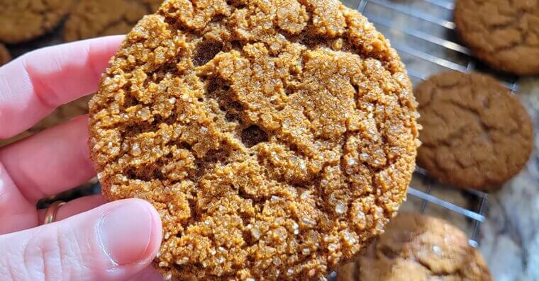 Molasses Cookies