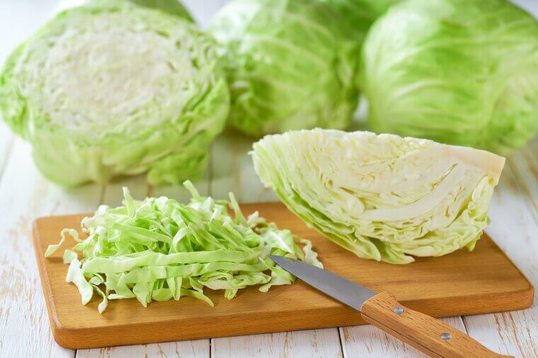 Cabbage