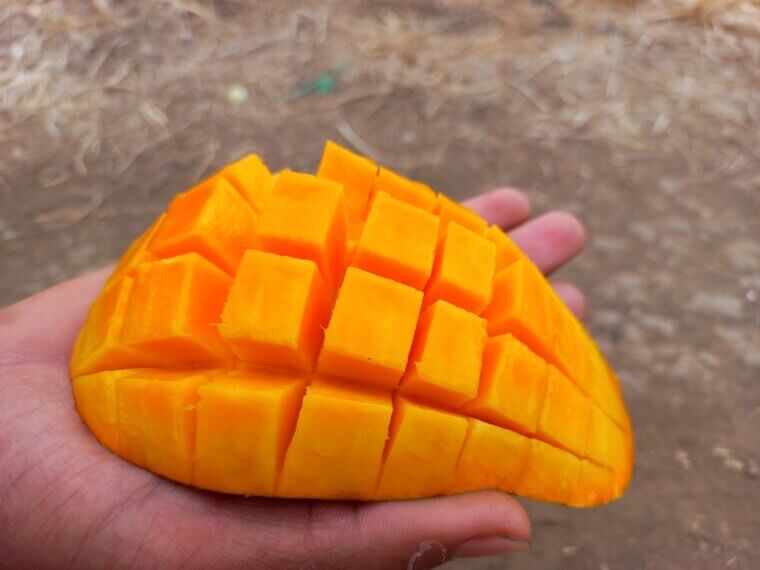 Mangoes