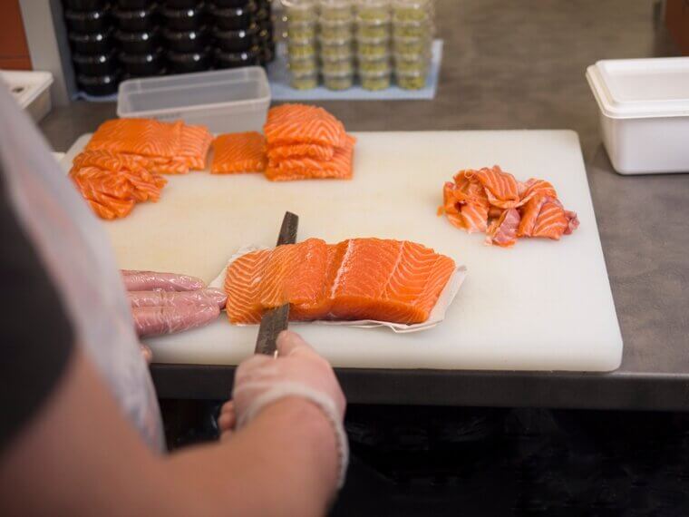 Salmon