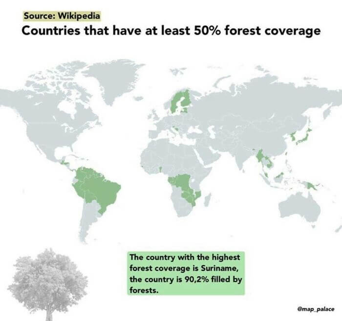 Countries That Still Have At Least 50% Forest Coverage