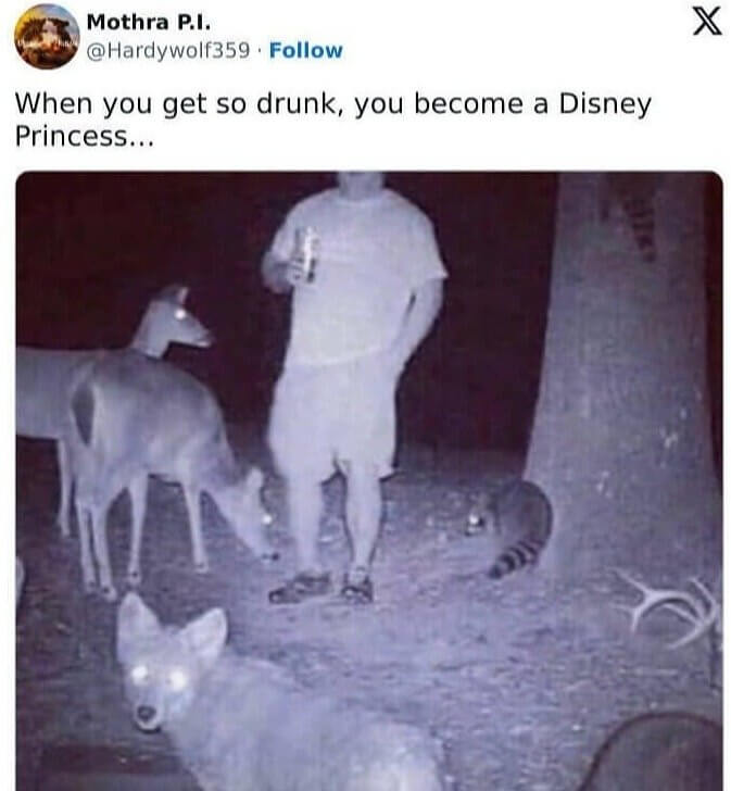 When You Become Snow White After a Few Drinks